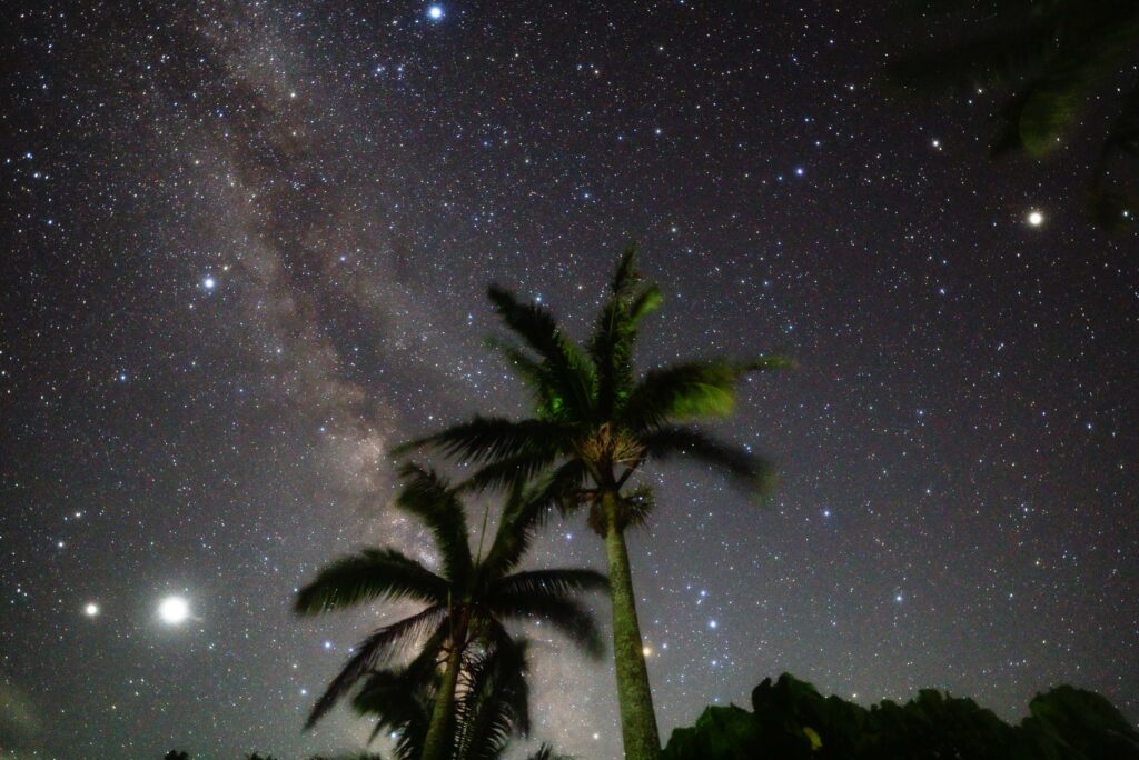 Milky Way with palm tree silhouette on a tropical starry night at Nagareboshi no Oka, Ishigaki Island