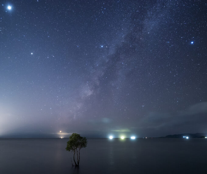 Lone mangrove tree with Milky Way over the ocean at Ishigaki Island, near Nagareboshi no Oka