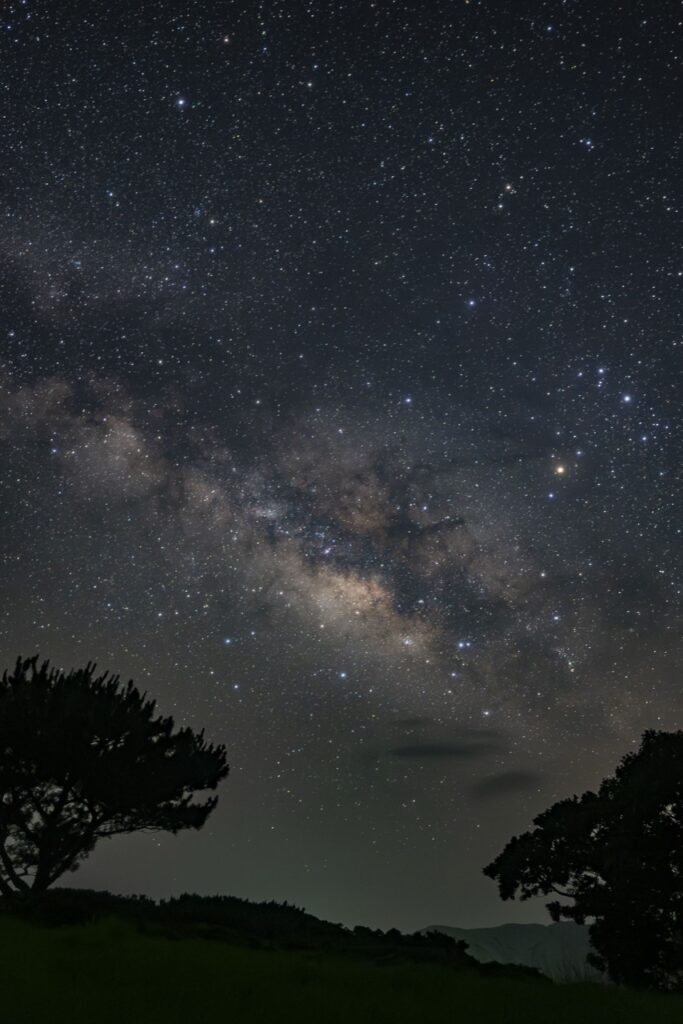 Milky way portrait tree silhouette side at Nagareboshi no Oka stargazing spot, Ishigaki Island